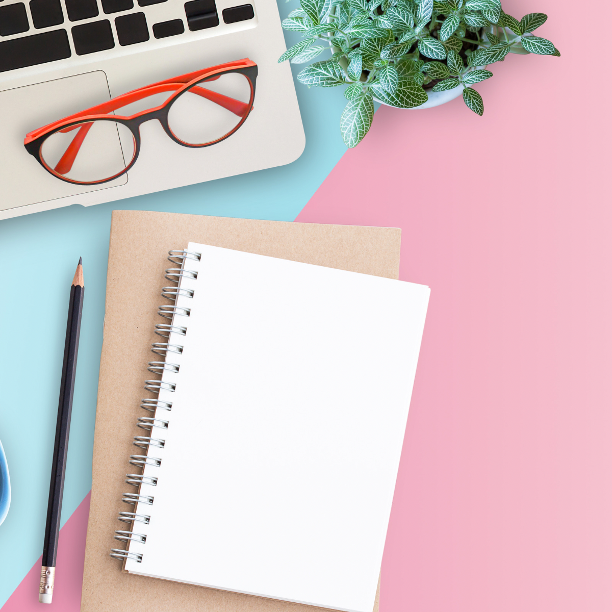 What does a Virtual Assistant do